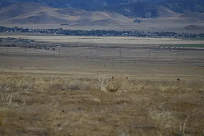 DSC_2289 (Large).JPG